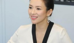 王海爆料章子怡视频,真相与争议