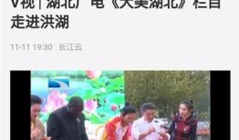 湖北台综合频道爆料新闻,揭秘某重大事件背后真相