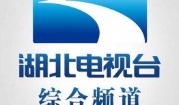 湖北台综合频道爆料新闻,揭秘某重大事件背后真相