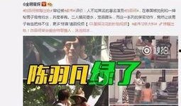 爆料赵雪儿入狱视频播放,揭秘事件背后真相