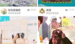 红什么视频在线观看,热门内容在线观看攻略