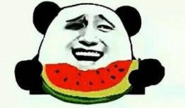 娱乐吃瓜酱上班,揭秘职场日常，带你领略办公室里的欢乐与八卦