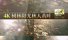 风景视频爆料大全高清版,风景视频爆料大全高清版精彩集锦