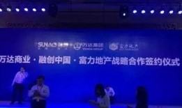 万达高管最新爆料视频,最新爆料视频深度解析