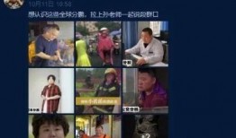 火腿爆料事件视频大全集,揭秘视频大全集背后的真相与争议
