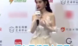 主持人鞠婧祎爆料视频,揭秘娱乐圈幕后真相