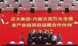 正大集团爆料新闻视频,独家爆料新闻视频深度解析