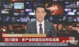 蓬安新闻爆料事件,真相与舆论的交织