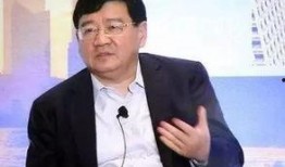 徐小平爆料视频大全集,揭秘名人与企业背后的真实故事