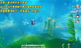 枫丹潜水爆料视频播放,探秘水下世界，揭秘神秘生物