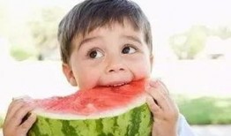 终生皆苦娱乐吃瓜酱,揭秘苦中作乐的生活哲学