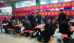 英德市沙口镇新闻大爆料,热点事件追踪与幕后真相曝光