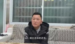 王胖姐夫爆料视频,事件背后惊人真相