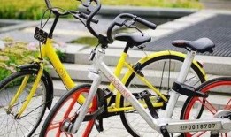 关于ofo共享单车新闻爆料,揭秘行业困境与未来走向”