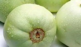 甜瓜记者爆料视频下载