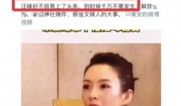 王海爆料章子怡视频,真相与争议