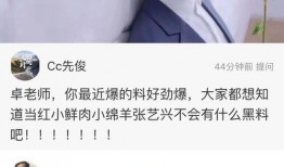 卓伟爆料杨幂赵丽颖视频,杨幂赵丽颖神秘视频引发热议