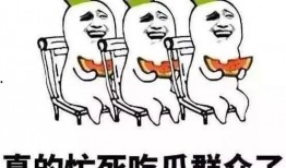 娱乐吃瓜酱上班,揭秘职场日常，带你领略办公室里的欢乐与八卦