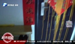 河南都市爆料全部视频播放,视频全集回顾，热点事件一网打尽