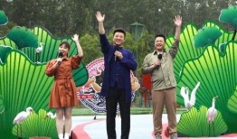 近日爆料新闻事件内容,真相与争议交织