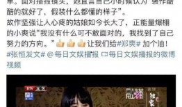 郑爽外网爆料视频播放,揭秘背后真相与争议