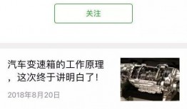 茂名谭先生最新爆料,揭秘茂名惊天大案内幕