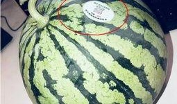 网红董赫吃瓜,揭秘娱乐圈吃瓜背后的真相