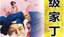 超级家丁在线观看,在线观看，笑料横生的奇幻生活大揭秘