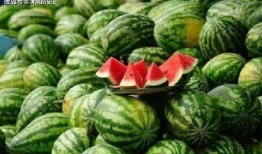 vx免费吃瓜群,畅享热门资讯，共享快乐时光