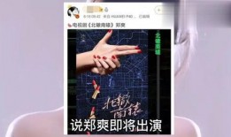 郑爽外网爆料视频播放,揭秘背后真相与争议