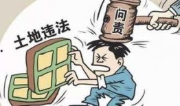 广东省新闻爆料纠纷案件,媒体与当事人权益的边界探讨