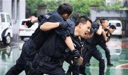 刑警爆料歹徒视频大全,歹徒视频大全，惊心动魄的犯罪瞬间