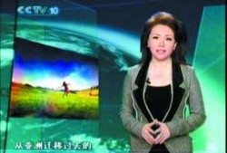 阿忆爆料方静简介视频,一段尘封的简介视频背后的故事