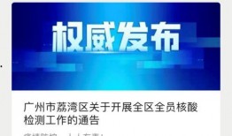 广州爆料最新消息新闻,聚焦城市热点事件追踪