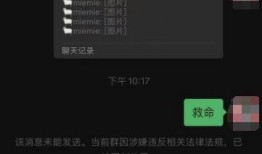 娱圈新人娱乐爆料是真的吗,真相还是谣言？揭秘娱乐圈新动态