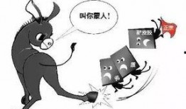 二驴自己爆料破产的视频,揭秘网红直播背后的辛酸与困境