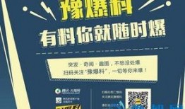 今日爆料专线直播,揭秘娱乐圈最新热点事件
