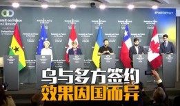 外交官爆料耳环事件视频,耳环事件背后的真相与内幕
