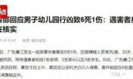 广东省新闻爆料纠纷案件,媒体与当事人权益的边界探讨