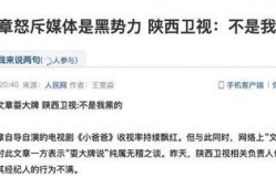 文章最新爆料消息,最新爆料揭示文章背后惊人真相