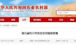 利川市新闻媒体爆料,重大事件引发社会关注！