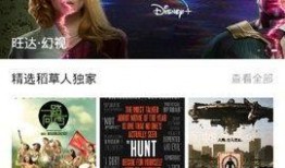 官方爆料稻草人视频大全,稻草人视频大全背后的神秘世界