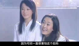 第二妈妈神马在线观看,神马在线观看，温情演绎母爱新篇章