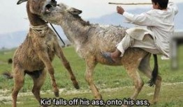 二驴自己爆料破产的视频,揭秘网红直播背后的辛酸与困境