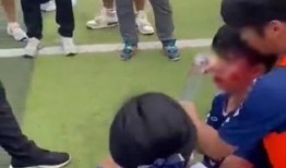 成都学院爆料事件视频,视频揭露校园内幕引发热议