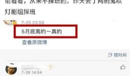 文章最新爆料消息,最新爆料揭示文章背后惊人真相