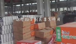 涿州洪水最新爆料信息,救援行动紧张进行，受灾情况持续更新
