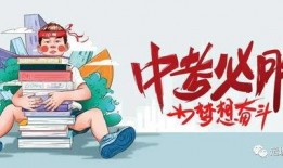 海安网红大爆料最新消息,揭秘幕后真相，带你走进网络红人世界